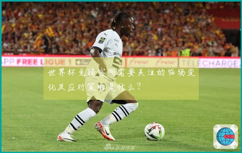 世界杯竞猜官网需要关注的临场变化及应对策略是什么？