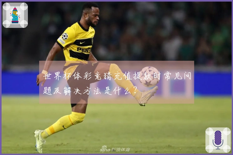 世界杯体彩竞猜充值提款时常见问题及解决方法是什么？