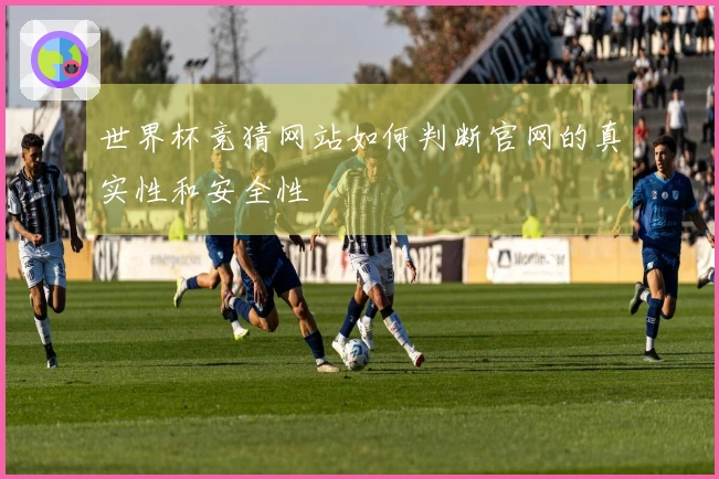 世界杯竞猜网站如何判断官网的真实性和安全性