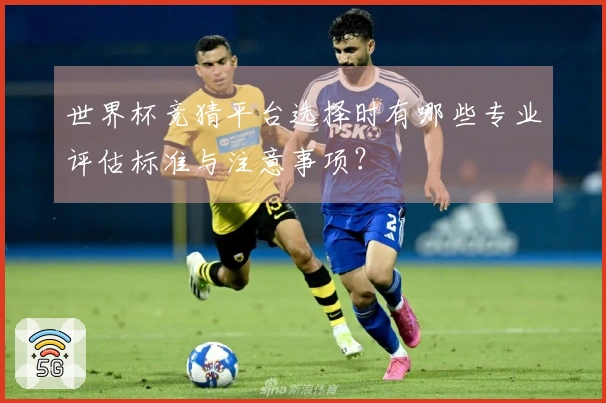 世界杯竞猜平台选择时有哪些专业评估标准与注意事项？