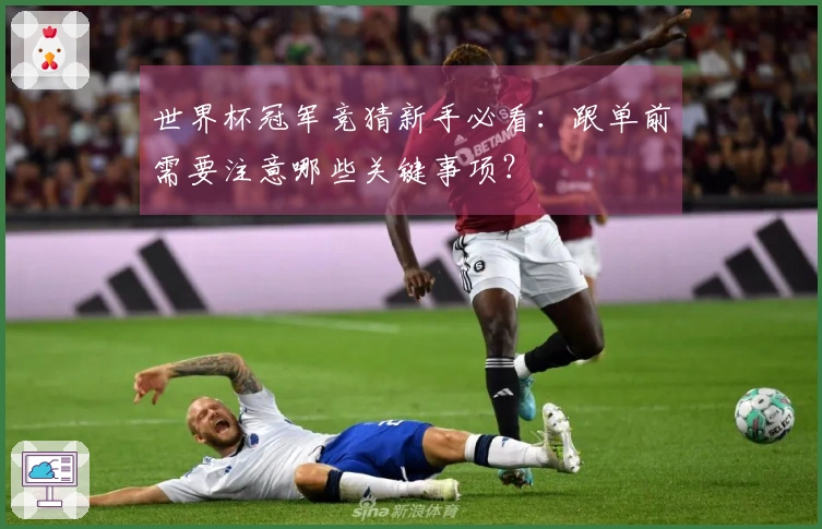 世界杯冠军竞猜新手必看：跟单前需要注意哪些关键事项？