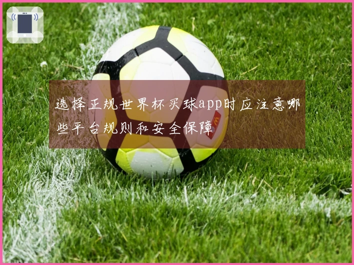 选择正规世界杯买球app时应注意哪些平台规则和安全保障