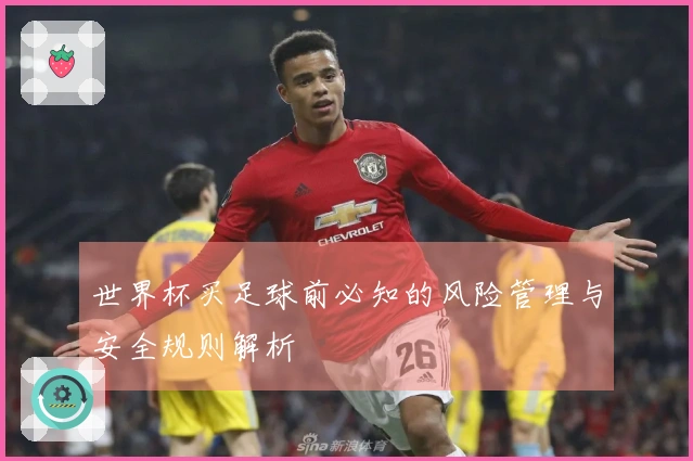 世界杯买足球前必知的风险管理与安全规则解析