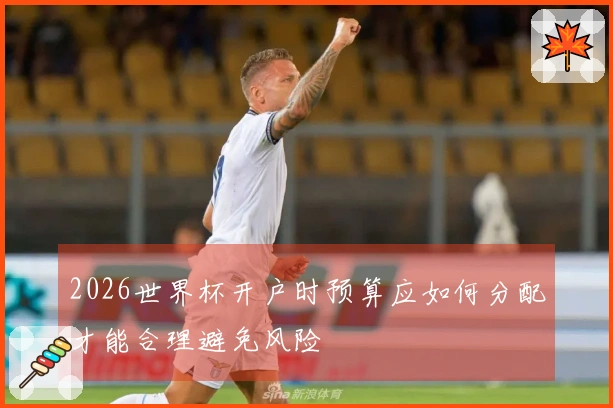 2026世界杯开户时预算应如何分配才能合理避免风险